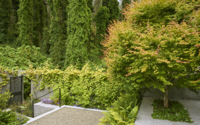 Luxury home built by Design Line Construction