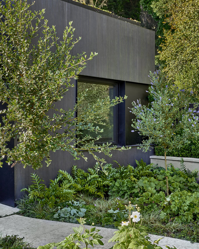 Luxury home built by Design Line Construction